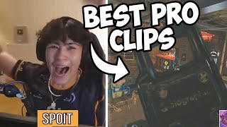 SPOIT'S MOST VIEWED Pro League Clips! Rainbow Six Siege