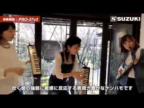 動画