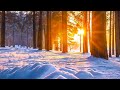 Beautiful Relaxing Music - Peaceful Soothing Instrumental Music &quot;Flying Over Nature Winter&quot;