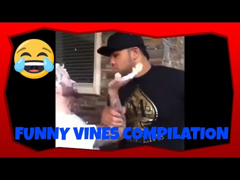 funny-vines-compilation-2020-part22