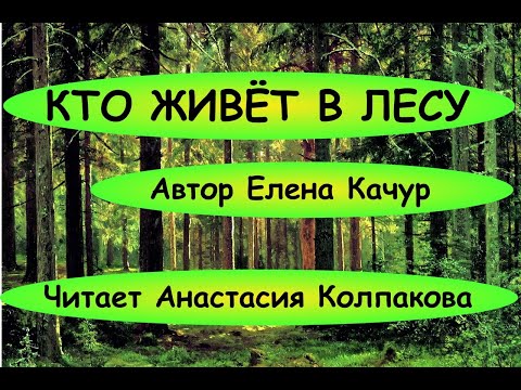 Кто живет в лесу