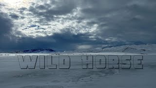 Wild Horse Fishing 48 hr-200 Fish by FFK 327 views 3 months ago 39 minutes