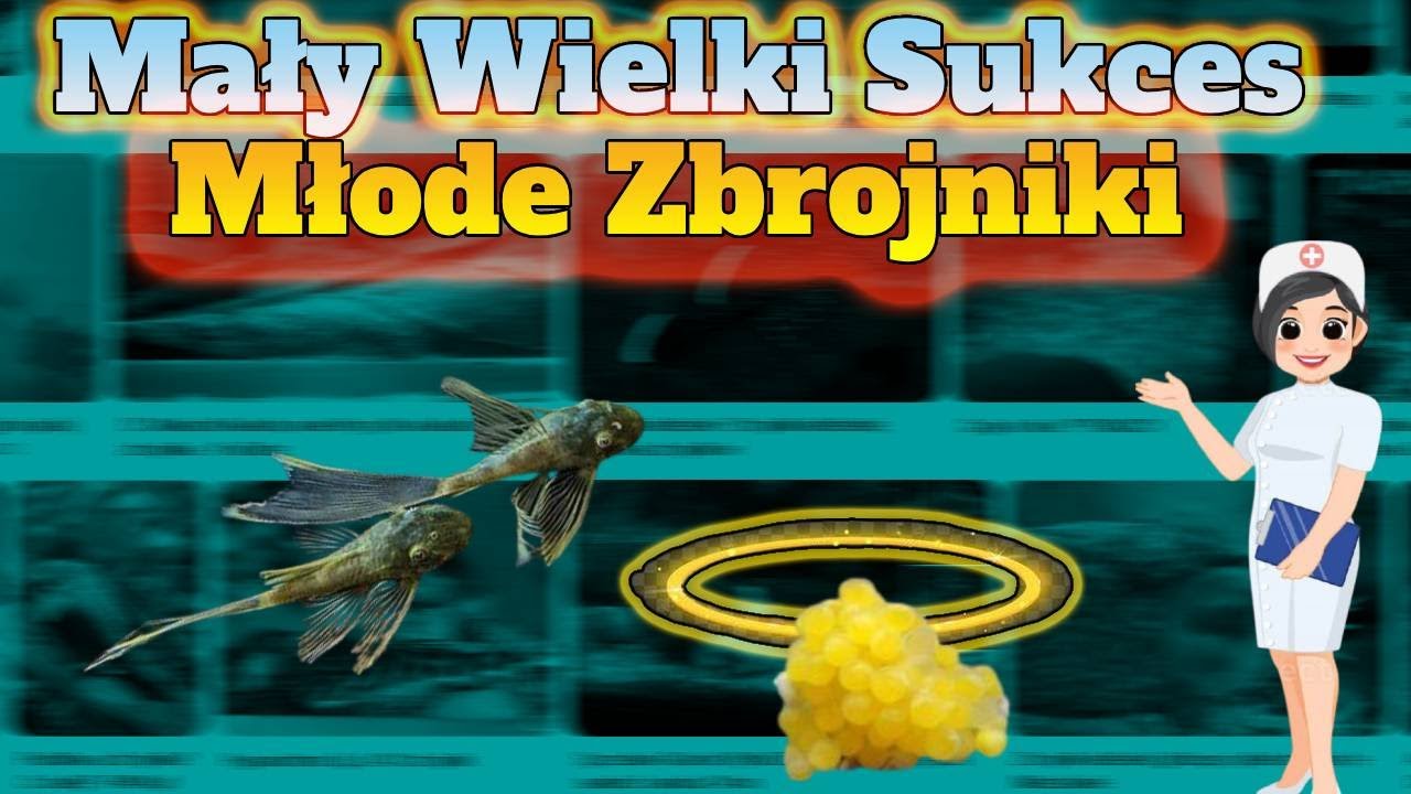 33.Mały Wielki Sukces ! :D Młode Zbrojniki Green Dragon