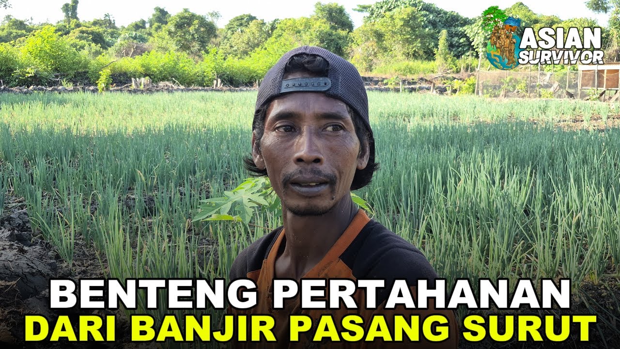 KESIBUKAN DUA PETANI RANTAU DI LAHAN TRANSMIGRASI PESISIR KALIMANTAN UTARA