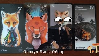 Оракул Лисы 1️⃣часть .🦊