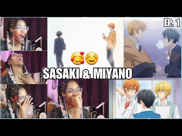 Yesss So Cute! yayay, BL!, Sasaki and Miyano Episode 1 Reaction