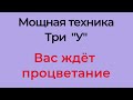 Мощная техника три "У". Как она поможет достигнуть процветания | Тайна Жрицы