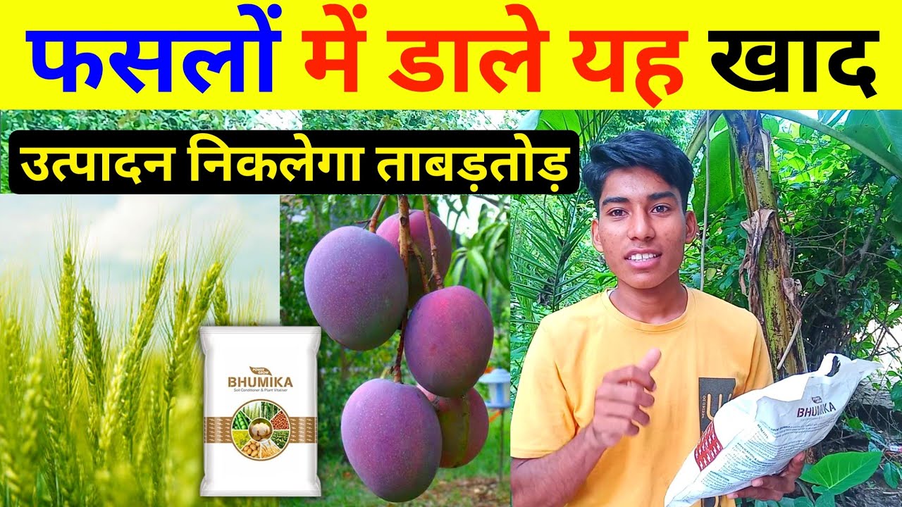 अब मिलेगा ताबड़तोड़ उत्पादन, Power grow bhumika, agrostar bhumika khad