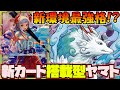 【新環境最強各リーダー！？】ヤマトvsエース【ワンピースカード】