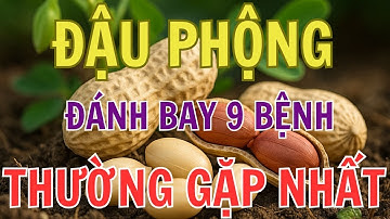Tin Vui: 9 Công Dụng Tuyệt Vời Của Lạc Đậu Phộng Chữa Được 9 Bệnh Thường Gặp Nhất.
