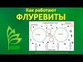 Как работают Флуревиты или механизм их действия ACLON САД