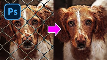 Remove Fence with 2 Simple Steps in Photoshop