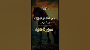 سورة هود الآية 108 #المصحف #ماشاءالله