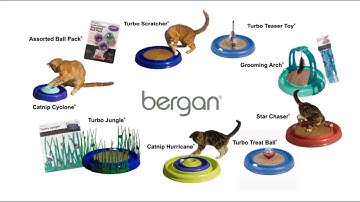 Cat Scratcher Bergan Turboscratcher