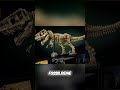 Der schönste LEGO T-Rex für dein Regal! #lego #jurassicworld #shorts