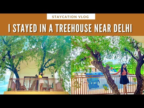 Tree House Resort Near Delhi | Budget Staycation | Weekend Getaway near Gurgaon | Fungram Resort