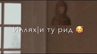 саукбилу я халики мин жадид🥀