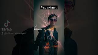 Erkatoy #top #trend #vayne #toy