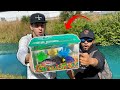 Catching NEW PET FISH for AQUARIUM!! (Exotic Fish)