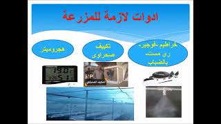 علاج امراض مزرعة المشروم