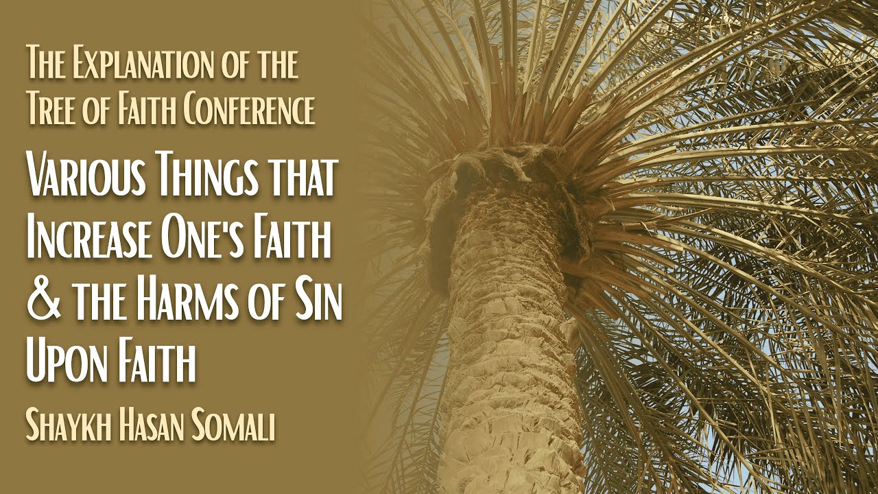 Various Things that Increase One's Faith and the Harms of Sin - Shaykh Hasan Somali