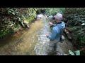 Blue line fishing for southern appalachian brook trout