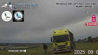 WPF MEADOWS ONE LOFT RACE CHALLENGE RELEASE OF THE PIGEONS