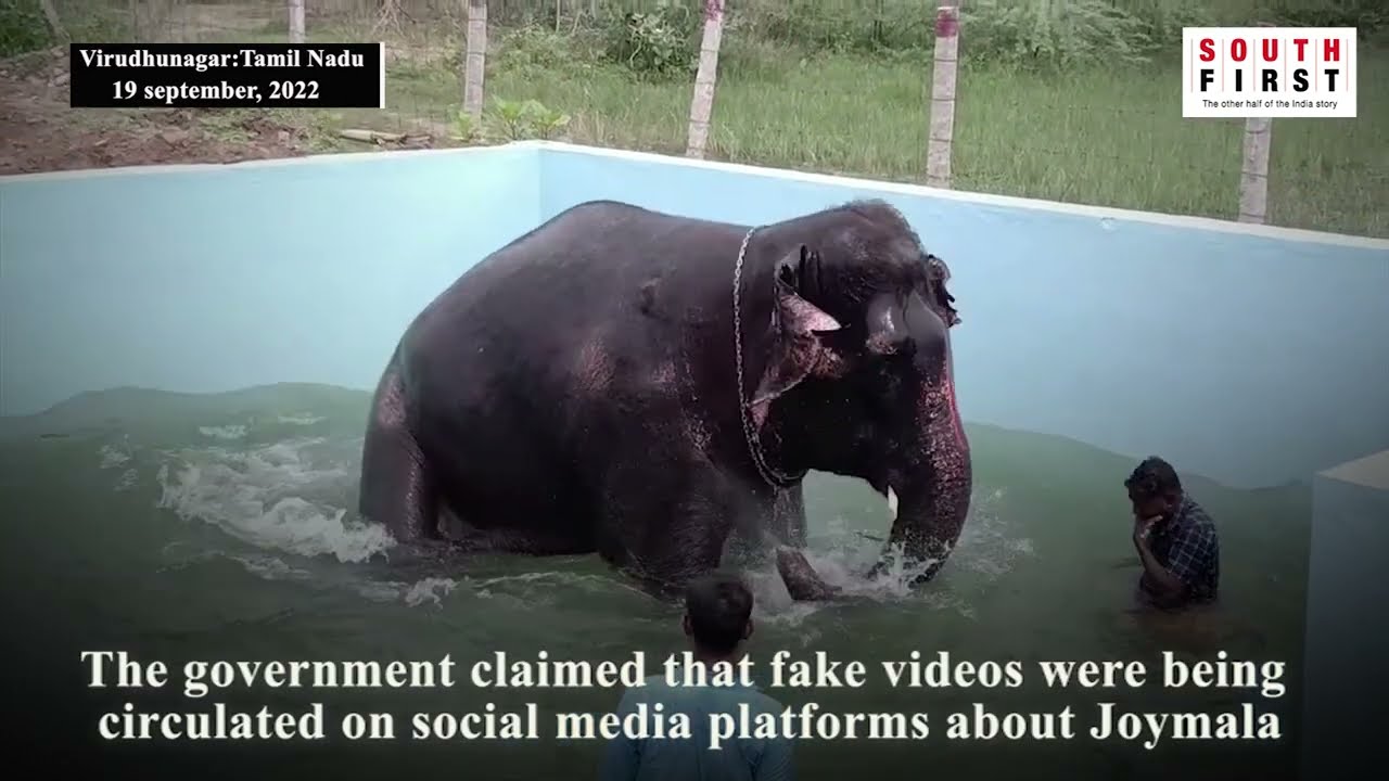 Experts from Assam inspect health condition of Joymala, the elephant in Tamil Nadu- South First