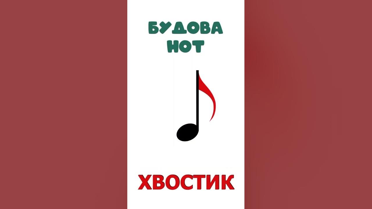 Будова нот Тривалості нот Нота ноти нотна грамота 1 урок сольфеджіо 1 ...