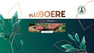 Nisboere 8 Episode 13 Langplaas Boerdery