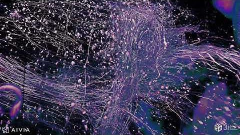 Brain stem 3D flythrough