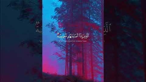 ارح قلبك ❤️ #قرآن #المصحف #تلاوات #دويتو #duet #قرآن_كريم #تلاوة_خاشعة #تلاوة #لايك #تلاوة_خاشعة