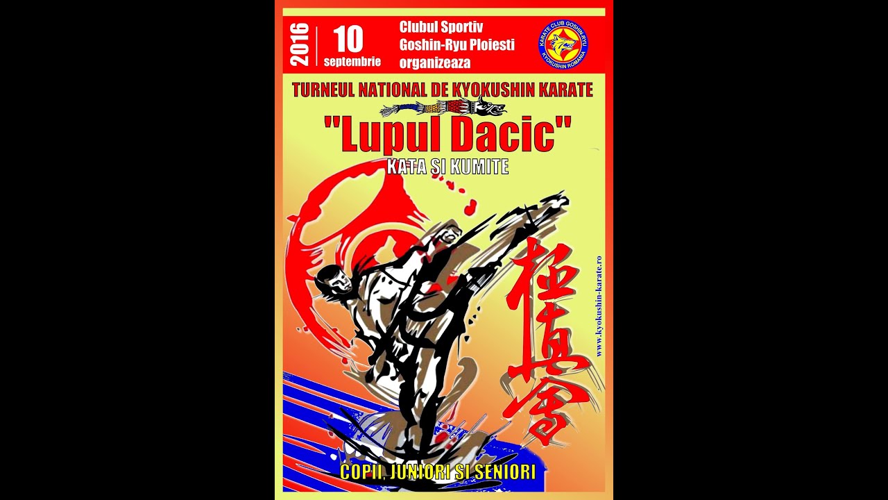 Claudiu Daianu (Goshin-Ryu) - Stir Marian (Nippon Budo Sport) camera iphone 8 plus apk
