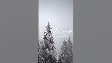 { لَّا يَسْأَمُ الْإِنسَانُ مِن دُعَاءِ الْخَيْرِ }،سورة فصلت الشيخ ماهر المعيقلي 🩶.