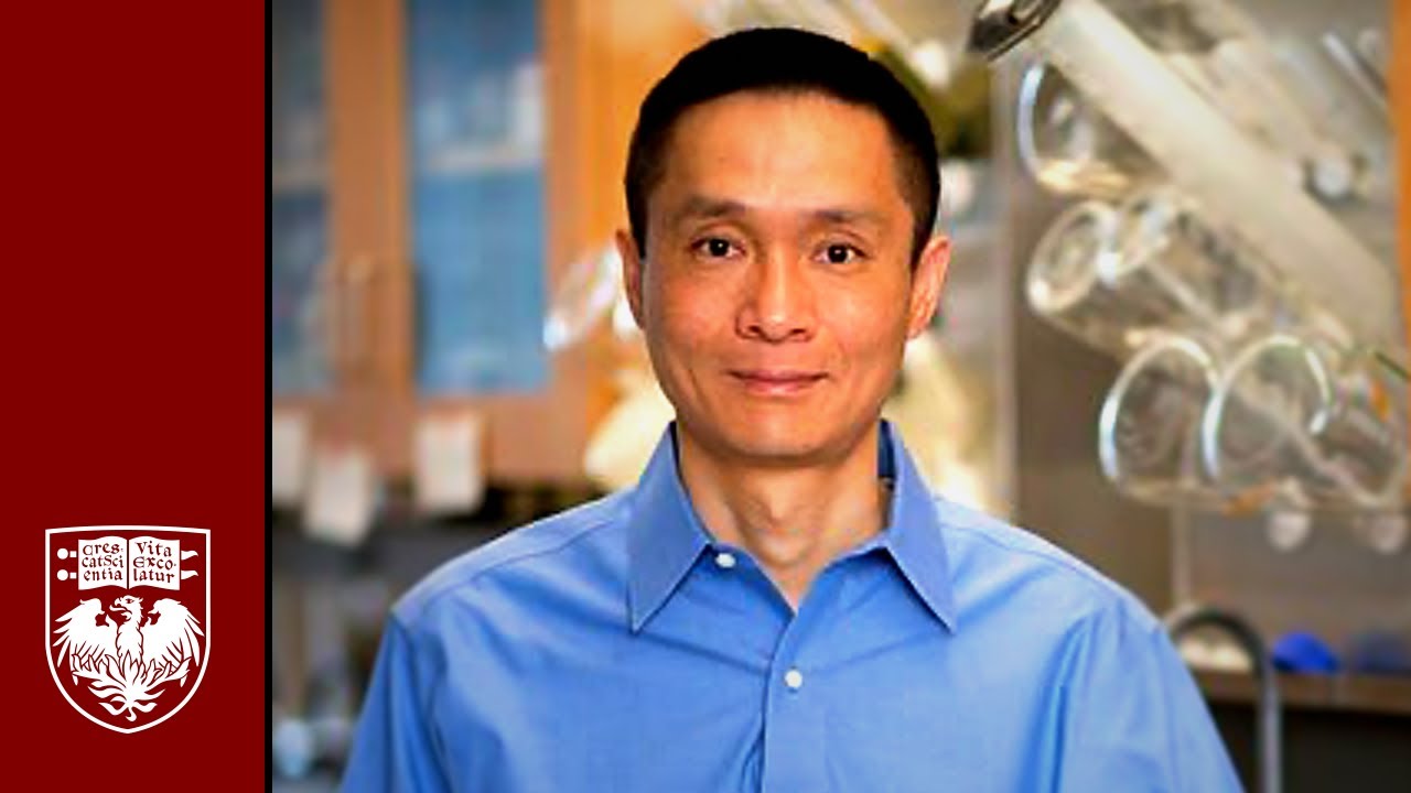 Genetic Game Changer: Groundbreaking Applications of RNA Methylation ...