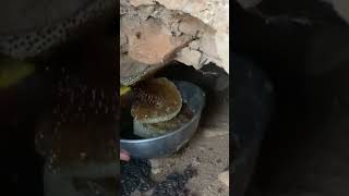 عسل ابوطويق الجبلي ما شاء الله