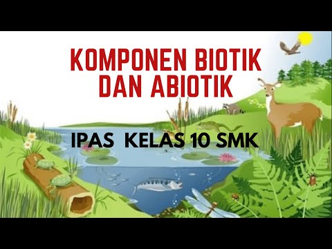 Video: Apakah yang membentuk komponen biotik biosfera?