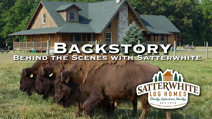 BACKSTORY