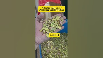 AI Pistachio sorter/nuts sorter---WhatsApp: +86 18956052563 #colorsorter #colorsortermachine