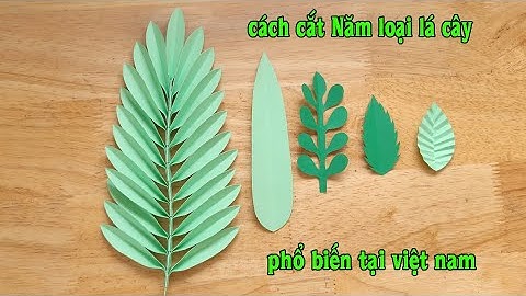 Hướng dẫn cách cắt Năm loại lá cây phổ biến tại việt nam-tricks with colored paper-Luyen Nguyen DIY