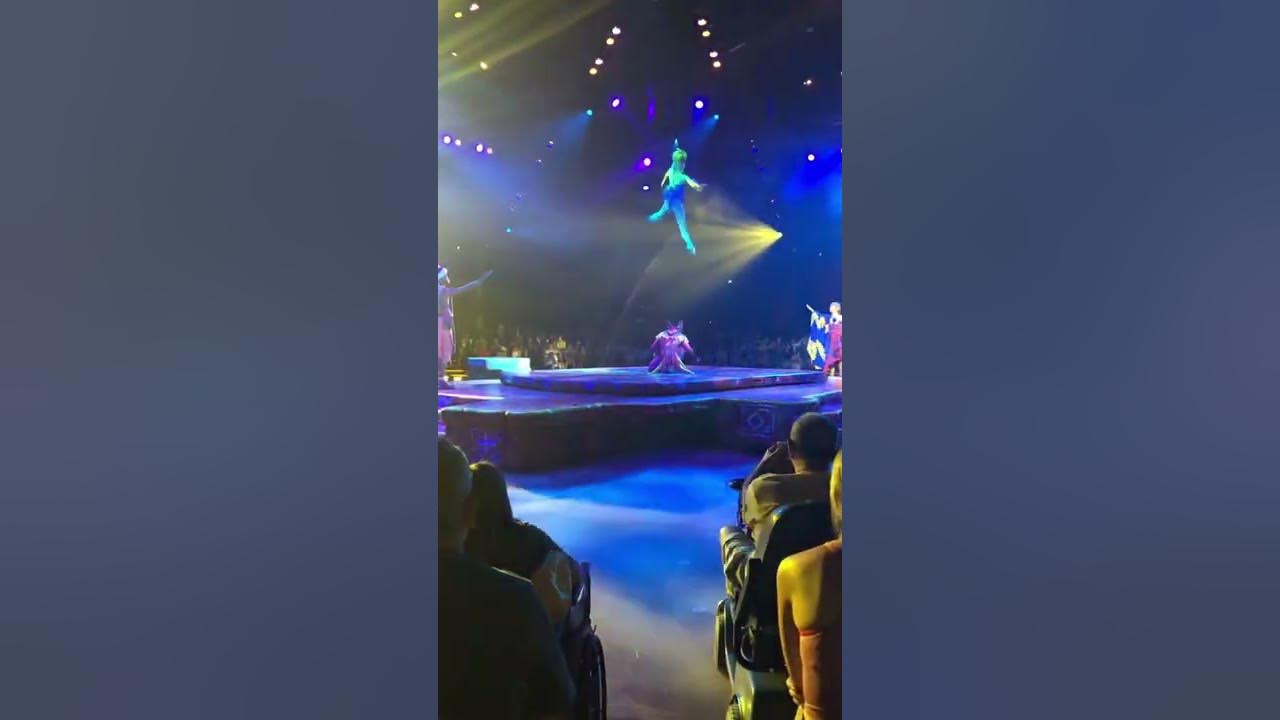 WDW #shorts - Festival Of The Lion King - Flying Bird Act Returns!