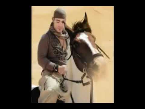 عاصي الحلاني الهوارة