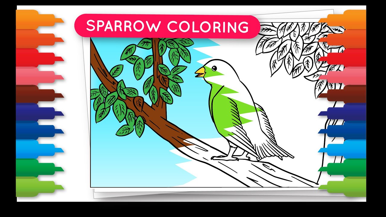 Bird Coloring Fun: Sparrow Comes Alive! - YouTube