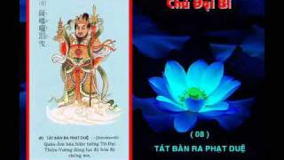 Chu Dai Bi  -  2009 - Huong dan tung:  Thay HD.avi