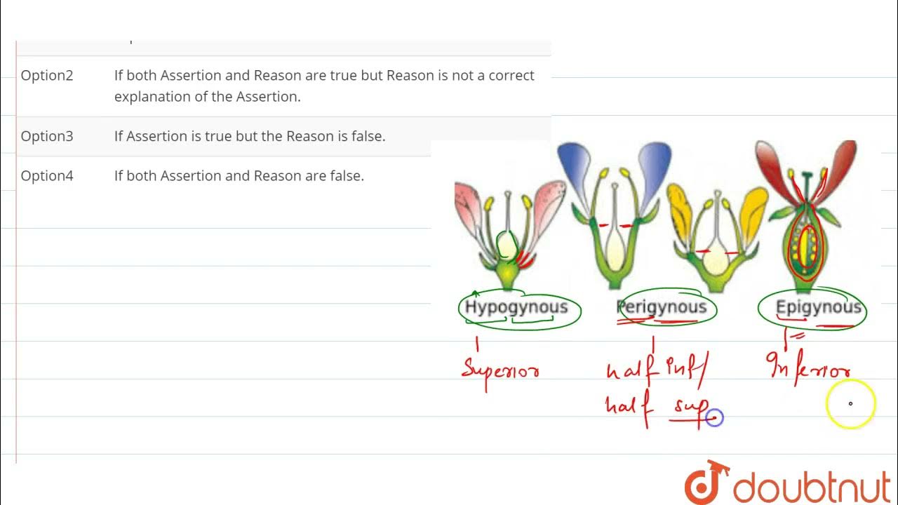 Assertion. Epigynous ovary is always inferior. Reason. All the floral parts lie above the level