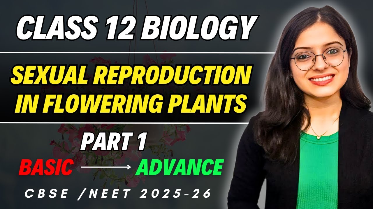 Sexual Reproduction in Flowering Plants | Class 12 Biology Chapter 1 ...