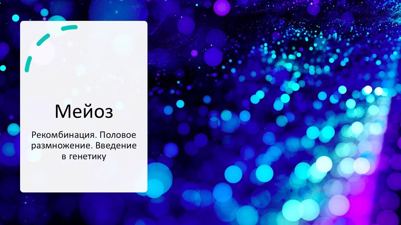Мейоз (рак, половое размножение, генетическое разнообразие) - YouTube