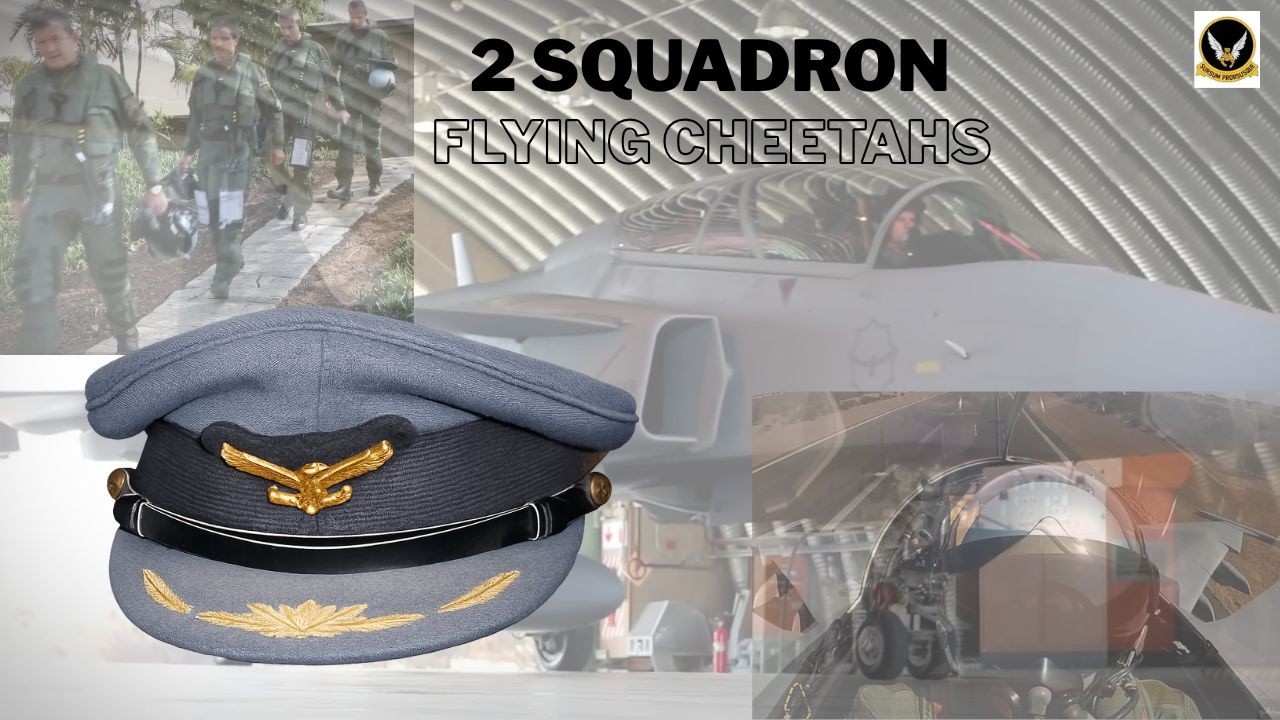 SAAF 2 SQUADREN FLYING CHEETAHS
