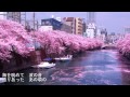 桜のように/竹内力Cover:Sasaki