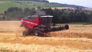 MF BETA Paralevel 7360 PLi - Mellstorf